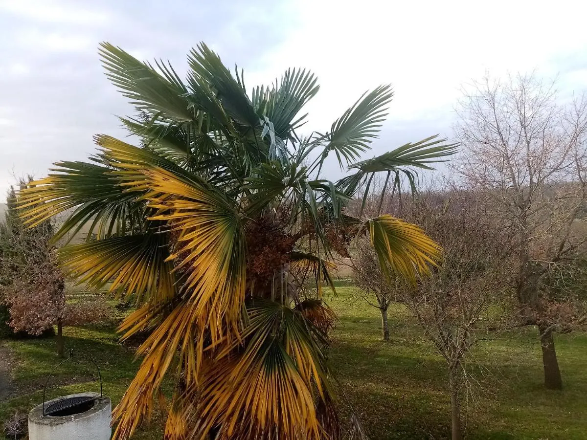La Gurlanne Bed & Breakfast Lasseran