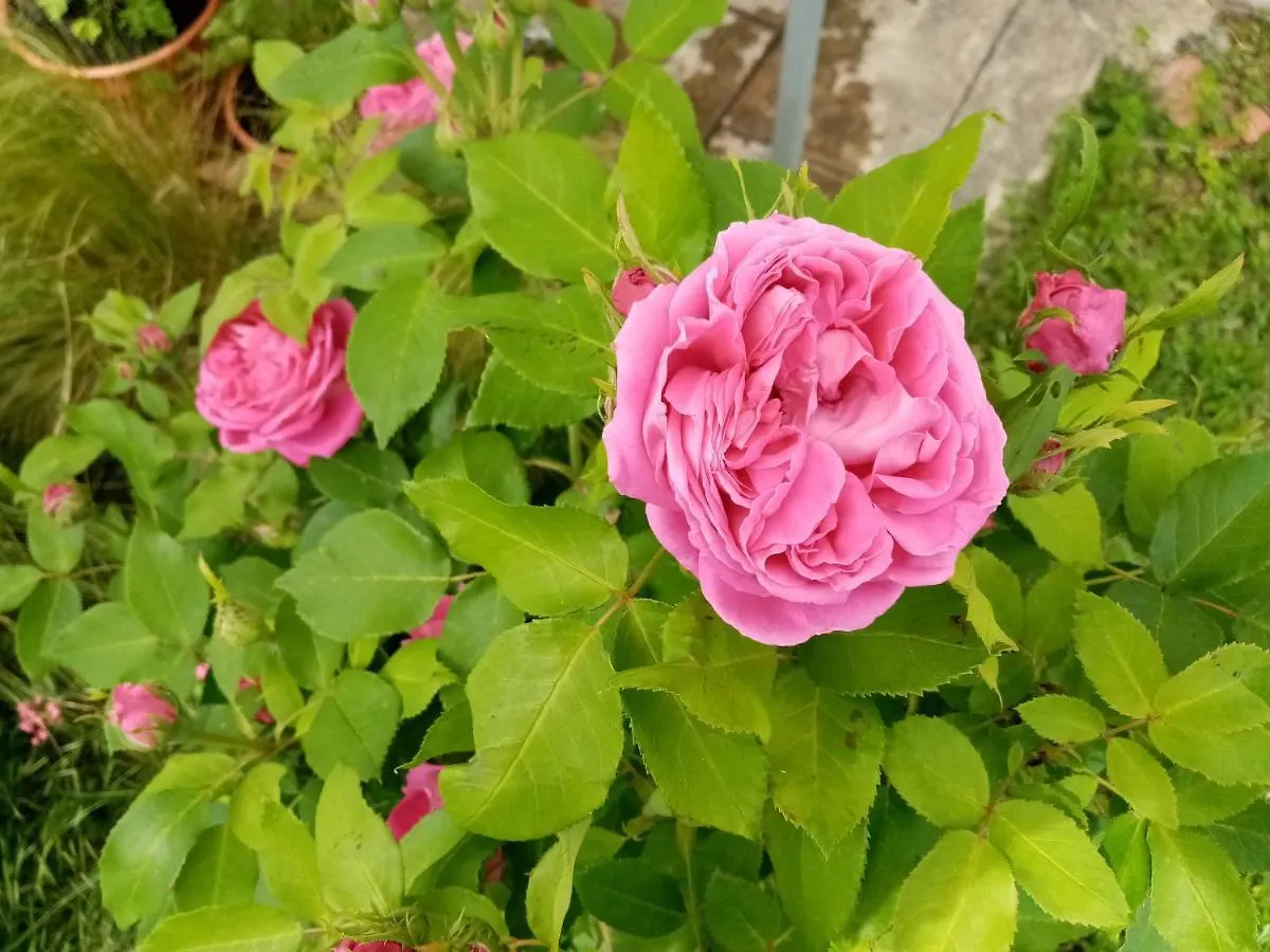 La Gurlanne Bed & Breakfast Lasseran