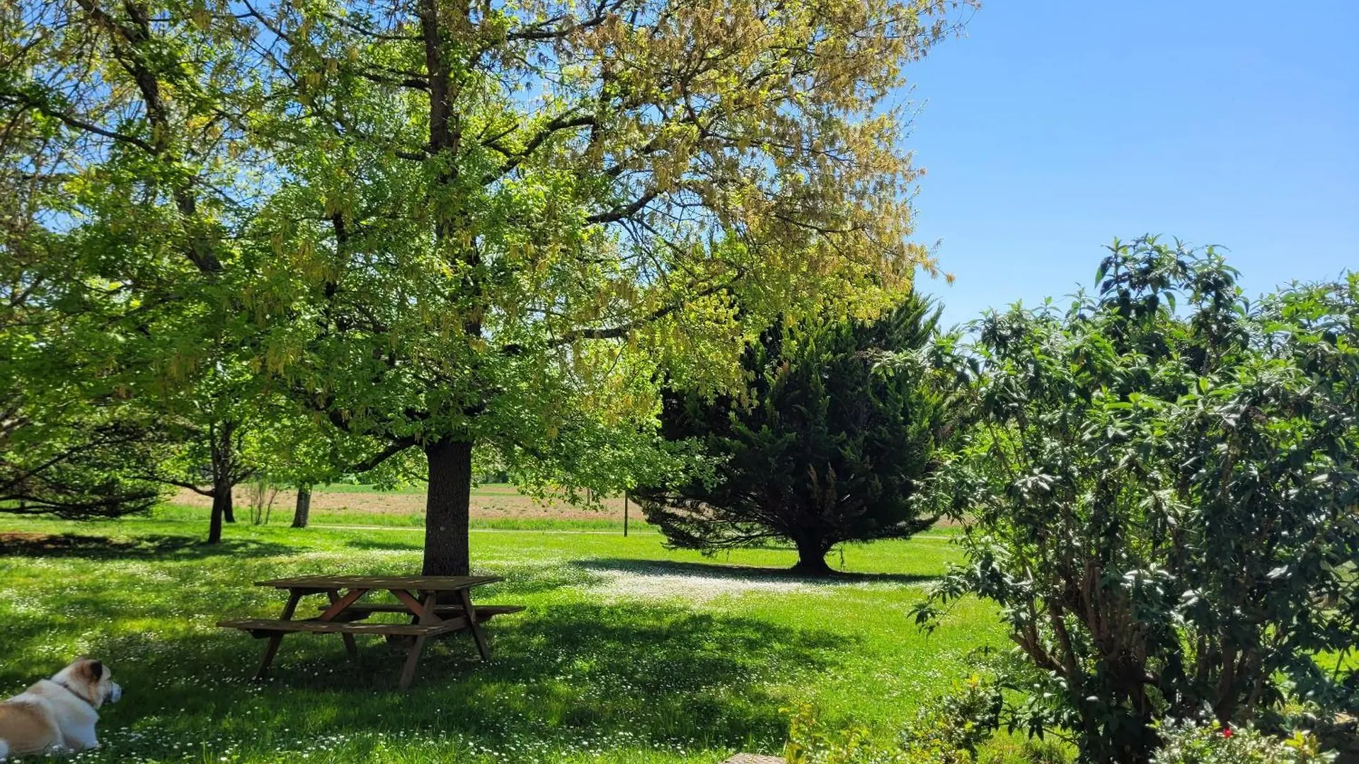 La Gurlanne Bed & Breakfast Lasseran