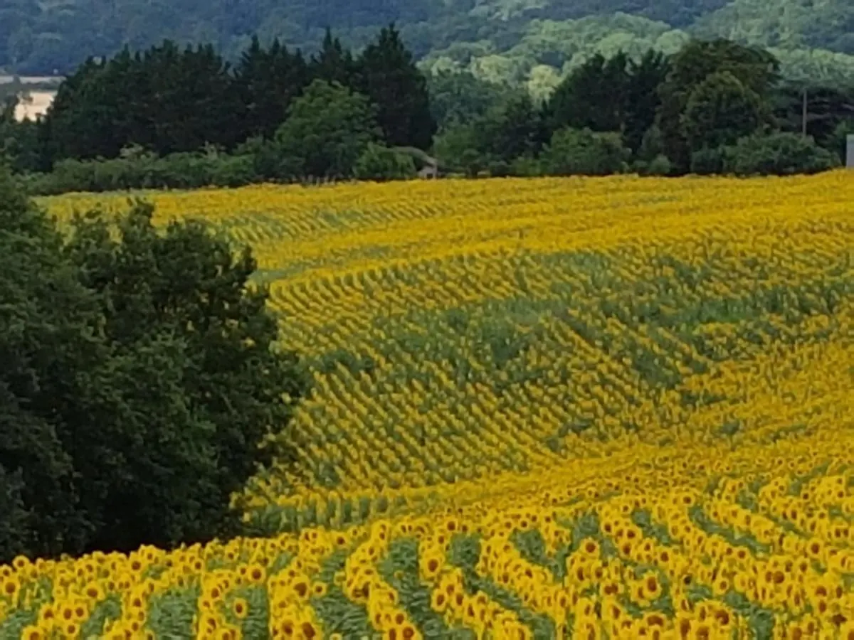 La Gurlanne Bed & Breakfast Lasseran France